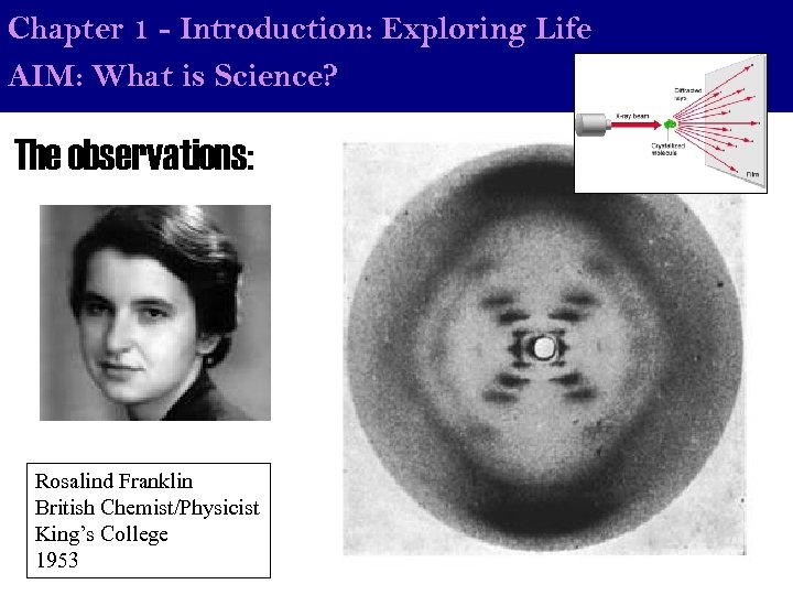 Chapter 1 - Introduction: Exploring Life AIM: What is Science? The observations: Rosalind Franklin