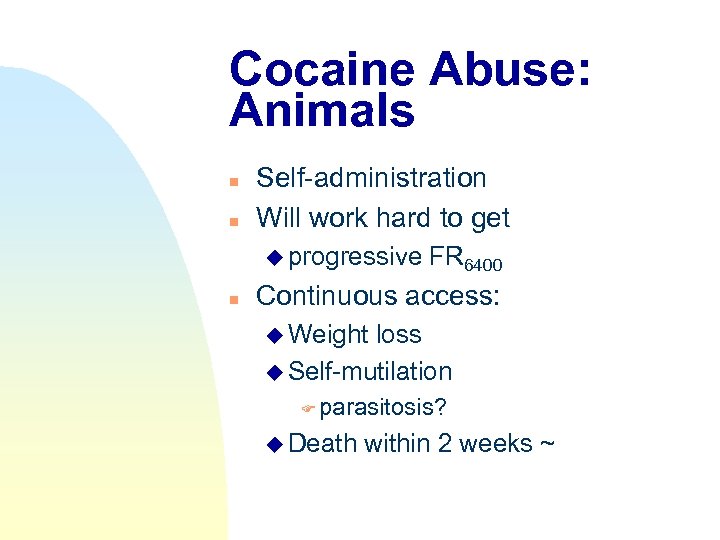 Cocaine Abuse: Animals n n Self-administration Will work hard to get u progressive n