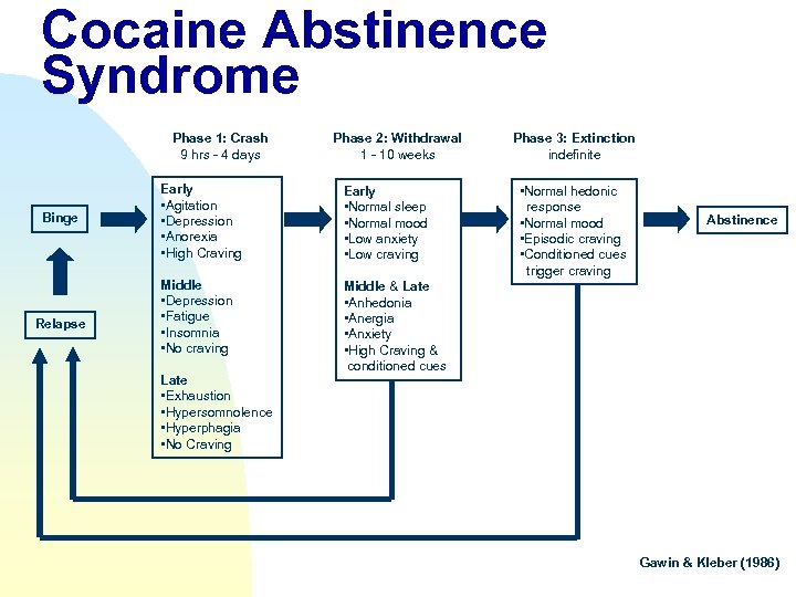 Cocaine Abstinence Syndrome Phase 1: Crash 9 hrs - 4 days Binge Relapse Phase