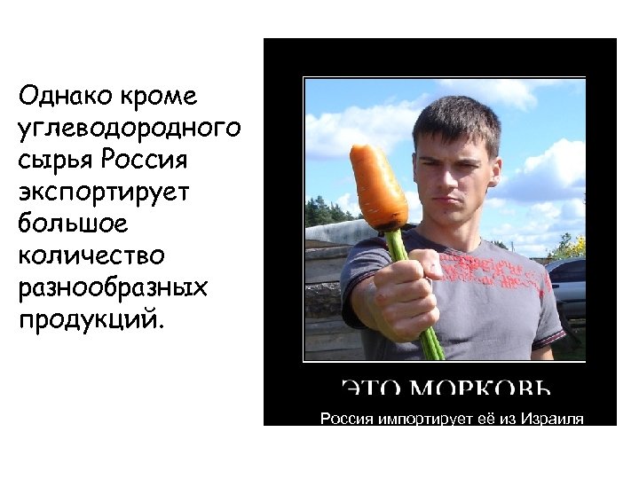 Однако кроме углеводородного сырья Россия экспортирует большое количество разнообразных продукций. Россия импортирует её из