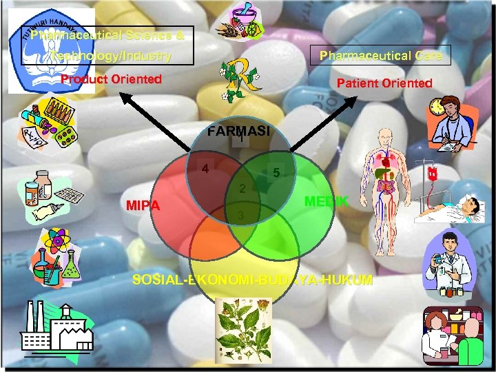 Pharmaceutical Science & Pharmaceutical Care Technology/Industry Product Oriented Patient Oriented FARMASI 1 4 5
