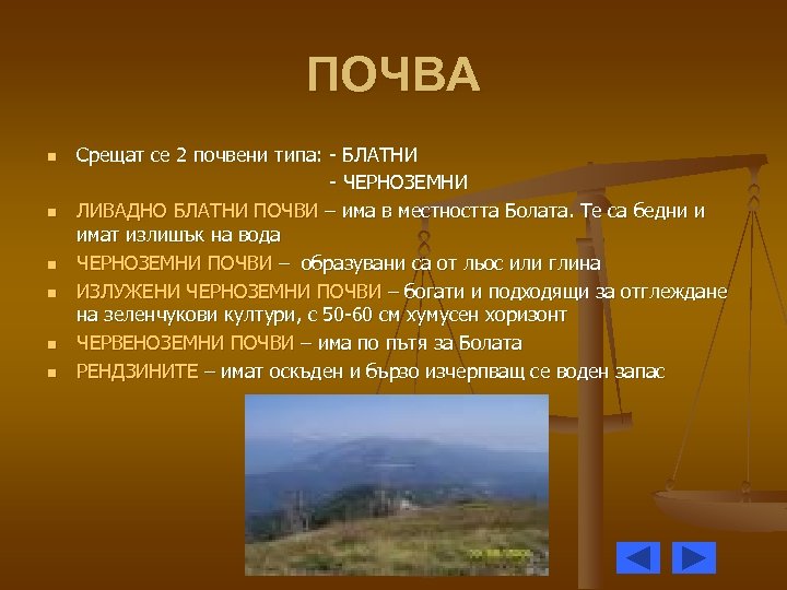 ПОЧВА n n n Срещат се 2 почвени типа: - БЛАТНИ - ЧЕРНОЗЕМНИ ЛИВАДНО