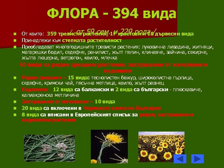 ФЛОРА - 394 вида n n n / от 59 сем. и 229 рода