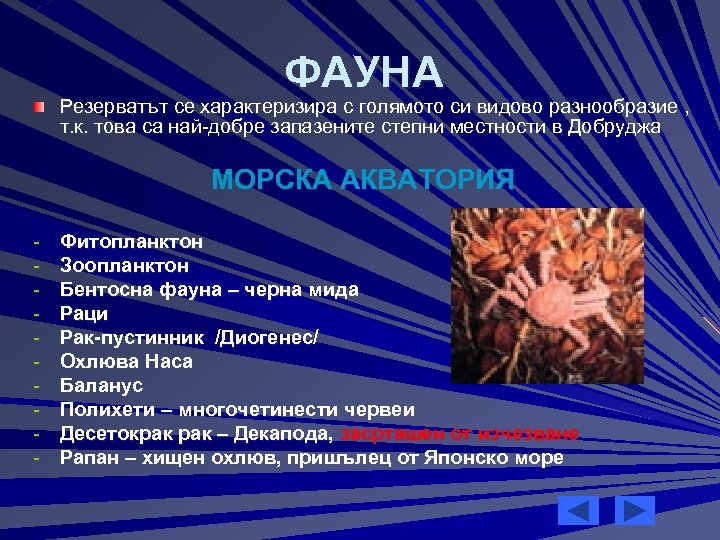 ФАУНА Резерватът се характеризира с голямото си видово разнообразие , т. к. това са