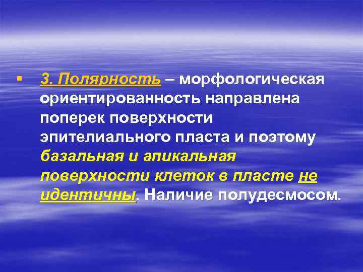 § 3. Полярность – морфологическая ориентированность направлена поперек поверхности эпителиального пласта и поэтому базальная