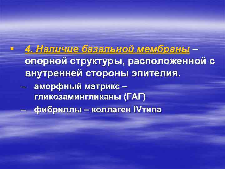§ 4. Наличие базальной мембраны – опорной структуры, расположенной с внутренней стороны эпителия. –