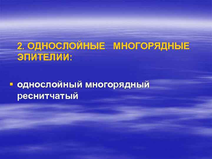 2. ОДНОСЛОЙНЫЕ МНОГОРЯДНЫЕ ЭПИТЕЛИИ: § однослойный многорядный реснитчатый 