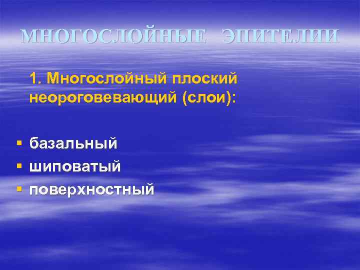 МНОГОСЛОЙНЫЕ ЭПИТЕЛИИ 1. Многослойный плоский неороговевающий (слои): § § § базальный шиповатый поверхностный 