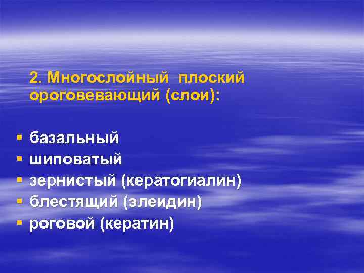 2. Многослойный плоский ороговевающий (слои): § § § базальный шиповатый зернистый (кератогиалин) блестящий (элеидин)