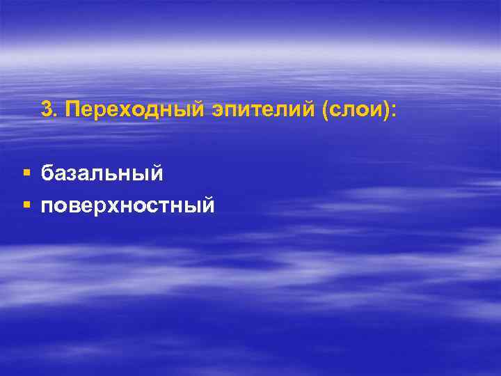 3. Переходный эпителий (слои): § базальный § поверхностный 