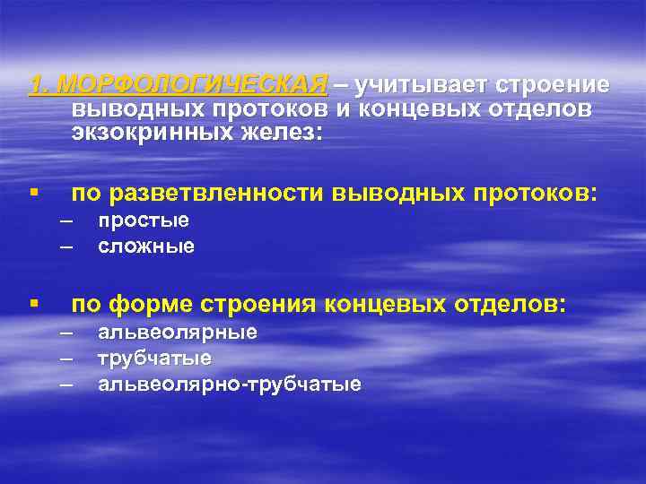 1. МОРФОЛОГИЧЕСКАЯ – учитывает строение выводных протоков и концевых отделов экзокринных желез: § по