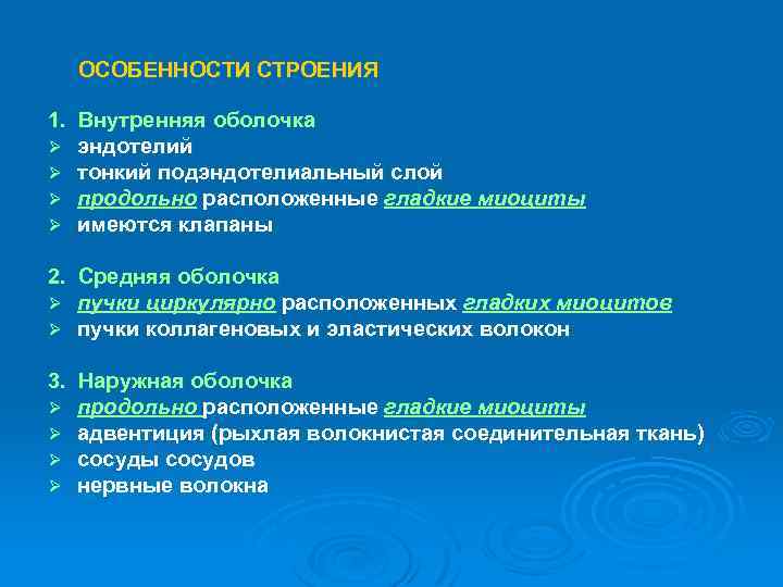 ОСОБЕННОСТИ СТРОЕНИЯ 1. Внутренняя оболочка Ø эндотелий Ø тонкий подэндотелиальный слой Ø продольно расположенные