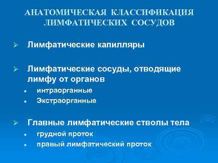 АНАТОМИЧЕСКАЯ КЛАССИФИКАЦИЯ ЛИМФАТИЧЕСКИХ СОСУДОВ Ø Лимфатические капилляры Ø Лимфатические сосуды, отводящие лимфу от органов