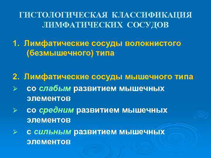 ГИСТОЛОГИЧЕСКАЯ КЛАССИФИКАЦИЯ ЛИМФАТИЧЕСКИХ СОСУДОВ 1. Лимфатические сосуды волокнистого (безмышечного) типа 2. Лимфатические сосуды мышечного