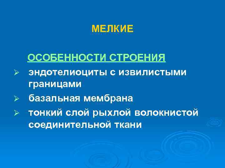 МЕЛКИЕ ОСОБЕННОСТИ СТРОЕНИЯ Ø эндотелиоциты с извилистыми границами Ø базальная мембрана Ø тонкий слой