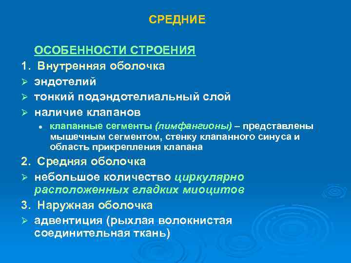 СРЕДНИЕ ОСОБЕННОСТИ СТРОЕНИЯ 1. Внутренняя оболочка Ø эндотелий Ø тонкий подэндотелиальный слой Ø наличие