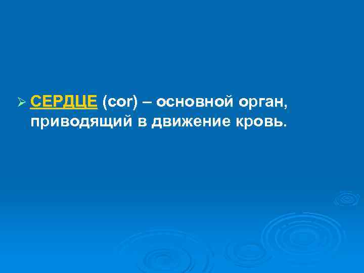 Ø СЕРДЦЕ (cor) – основной орган, приводящий в движение кровь. 