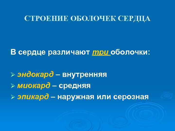 СТРОЕНИЕ ОБОЛОЧЕК СЕРДЦА В сердце различают три оболочки: Ø эндокард – внутренняя Ø миокард