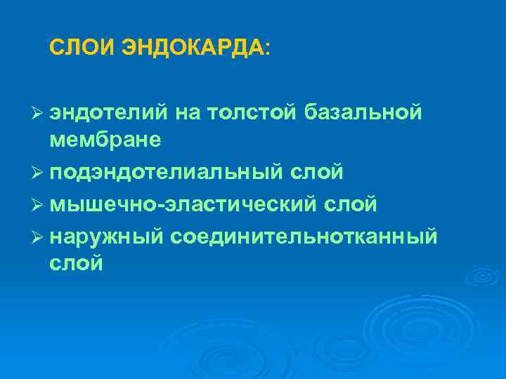 СЛОИ ЭНДОКАРДА: Ø эндотелий на толстой базальной мембране Ø подэндотелиальный слой Ø мышечно-эластический слой