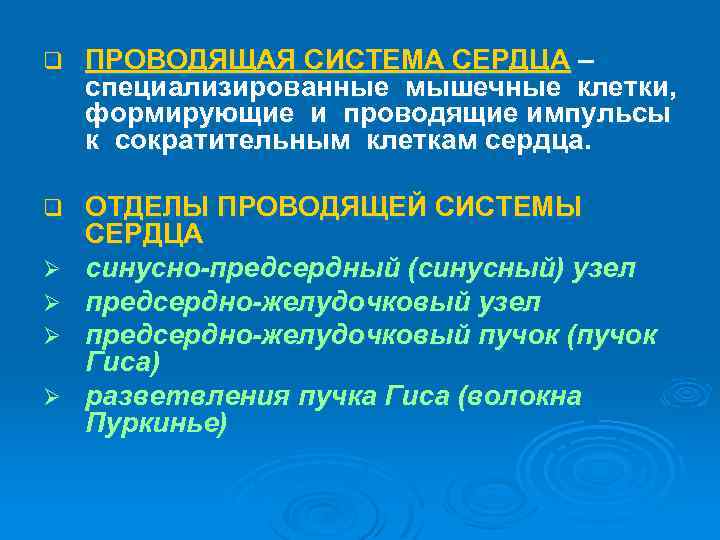 q ПРОВОДЯЩАЯ СИСТЕМА СЕРДЦА – специализированные мышечные клетки, формирующие и проводящие импульсы к сократительным