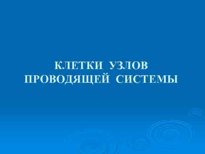 КЛЕТКИ УЗЛОВ ПРОВОДЯЩЕЙ СИСТЕМЫ 