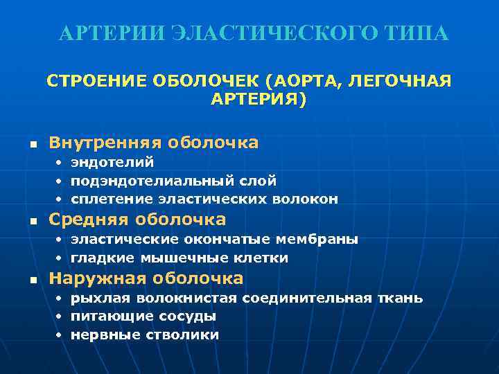 АРТЕРИИ ЭЛАСТИЧЕСКОГО ТИПА СТРОЕНИЕ ОБОЛОЧЕК (АОРТА, ЛЕГОЧНАЯ АРТЕРИЯ) n Внутренняя оболочка • • •