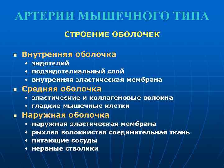 АРТЕРИИ МЫШЕЧНОГО ТИПА СТРОЕНИЕ ОБОЛОЧЕК n Внутренняя оболочка • эндотелий • подэндотелиальный слой •