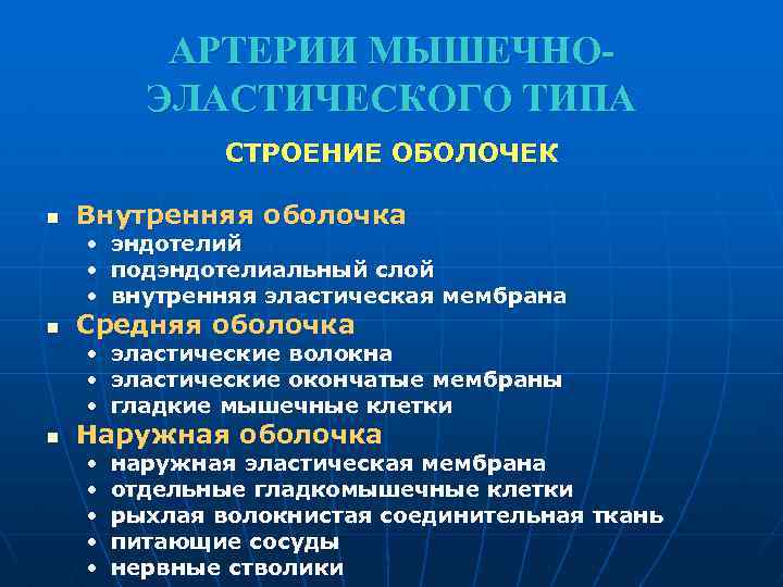 АРТЕРИИ МЫШЕЧНОЭЛАСТИЧЕСКОГО ТИПА СТРОЕНИЕ ОБОЛОЧЕК n Внутренняя оболочка • эндотелий • подэндотелиальный слой •