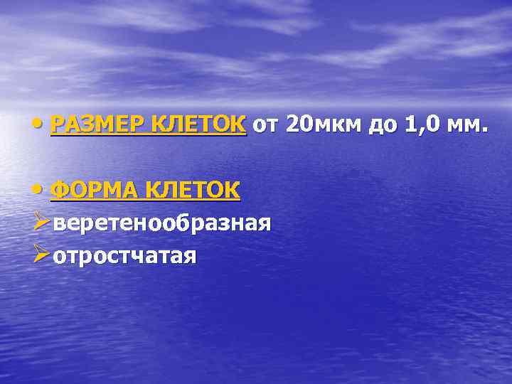  • РАЗМЕР КЛЕТОК от 20 мкм до 1, 0 мм. • ФОРМА КЛЕТОК