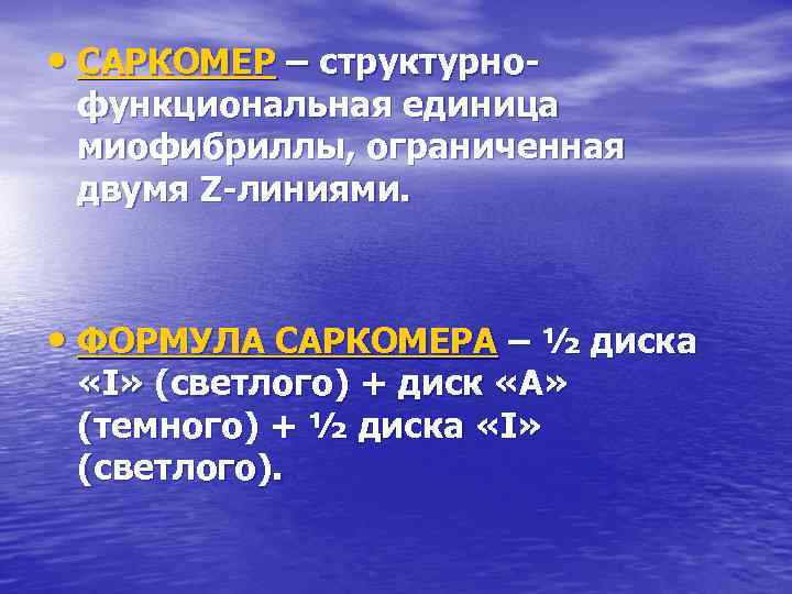  • САРКОМЕР – структурно- функциональная единица миофибриллы, ограниченная двумя Z-линиями. • ФОРМУЛА САРКОМЕРА