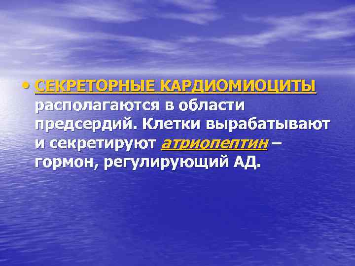  • СЕКРЕТОРНЫЕ КАРДИОМИОЦИТЫ располагаются в области предсердий. Клетки вырабатывают и секретируют атриопептин –