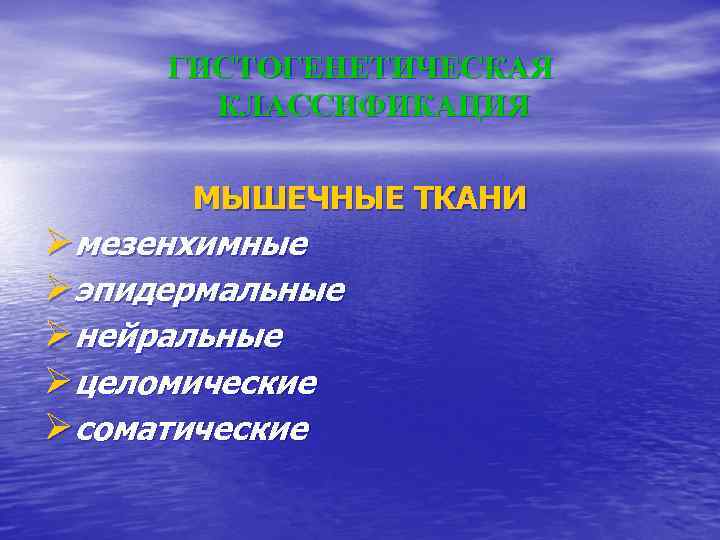 ГИСТОГЕНЕТИЧЕСКАЯ КЛАССИФИКАЦИЯ МЫШЕЧНЫЕ ТКАНИ Øмезенхимные Øэпидермальные Øнейральные Øцеломические Øсоматические 