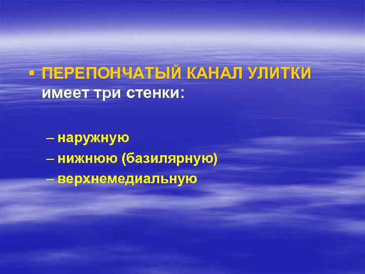 § ПЕРЕПОНЧАТЫЙ КАНАЛ УЛИТКИ имеет три стенки: – наружную – нижнюю (базилярную) – верхнемедиальную