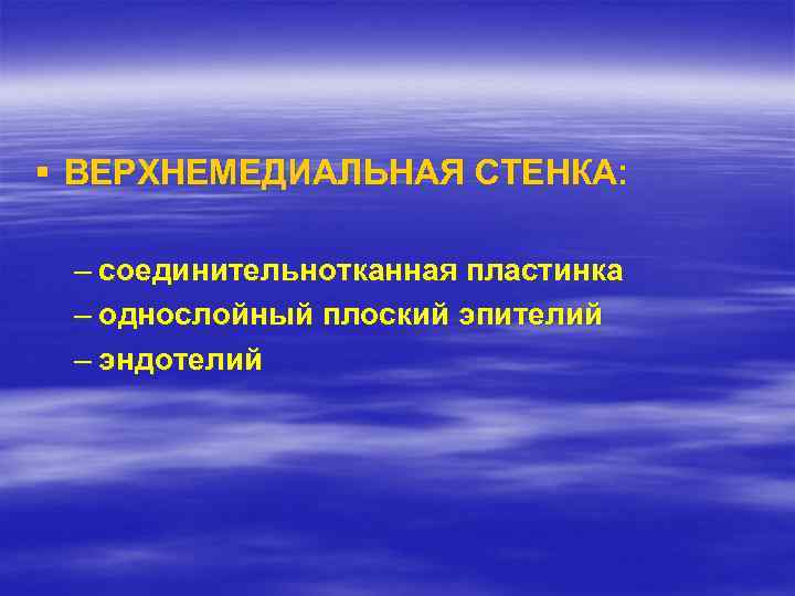 § ВЕРХНЕМЕДИАЛЬНАЯ СТЕНКА: – соединительнотканная пластинка – однослойный плоский эпителий – эндотелий 
