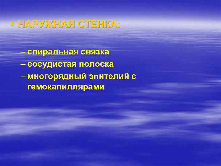 § НАРУЖНАЯ СТЕНКА: – спиральная связка – сосудистая полоска – многорядный эпителий с гемокапиллярами
