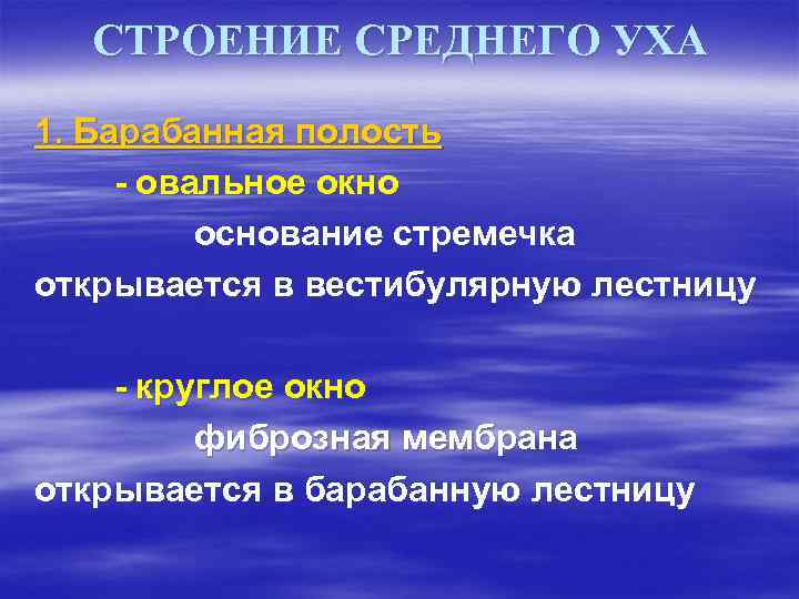 СТРОЕНИЕ СРЕДНЕГО УХА 1. Барабанная полость - овальное окно основание стремечка открывается в вестибулярную