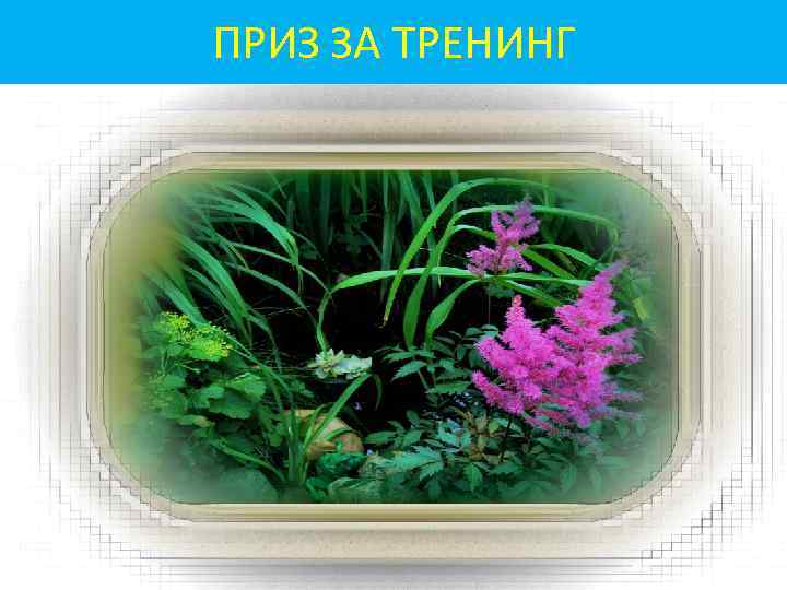 ПРИЗ ЗА ТРЕНИНГ 