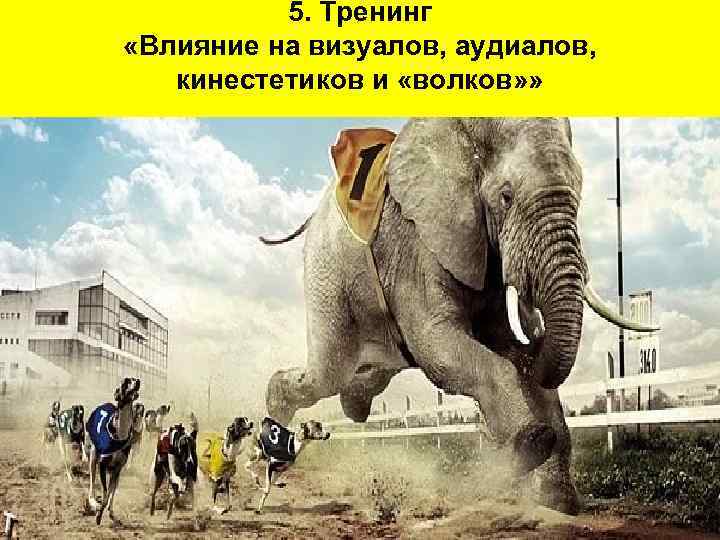5. Тренинг «Влияние на визуалов, аудиалов, кинестетиков и «волков» » 