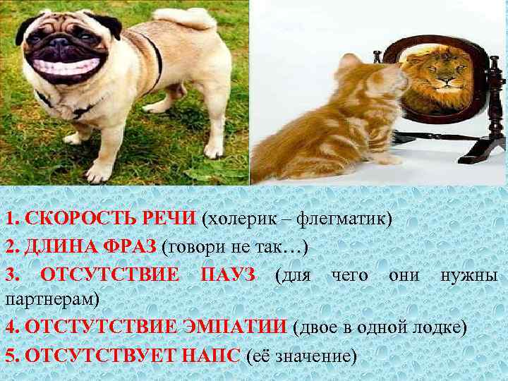 : 1. СКОРОСТЬ РЕЧИ (холерик – флегматик) 2. ДЛИНА ФРАЗ (говори не так…) 3.