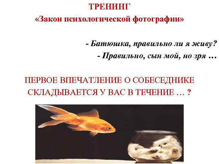 ТРЕНИНГ «Закон психологической фотографии» - Батюшка, правильно ли я живу? - Правильно, сын мой,
