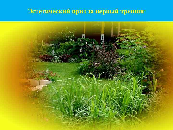 Эстетический приз за первый тренинг 