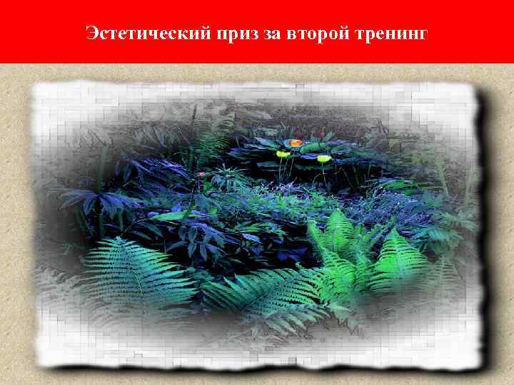 Эстетический приз за второй тренинг 