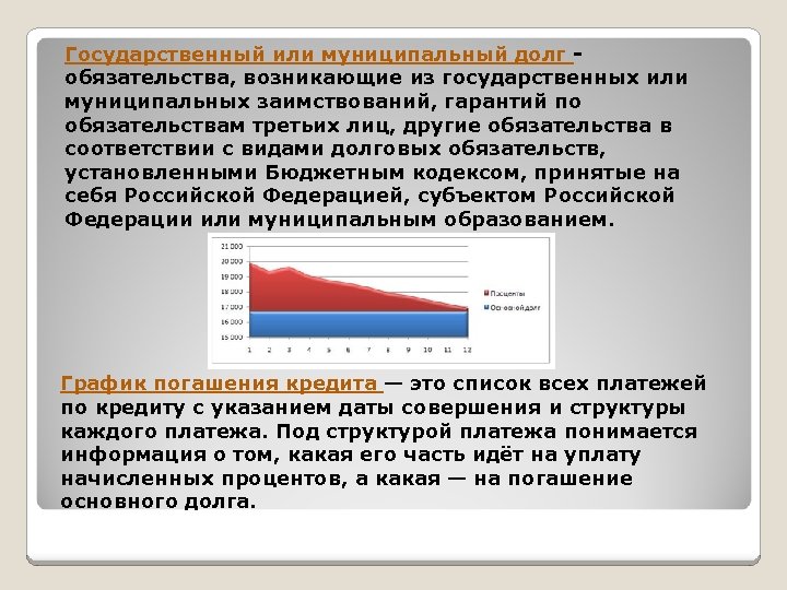 Государственный или муниципальный долг обязательства, возникающие из государственных или муниципальных заимствований, гарантий по обязательствам