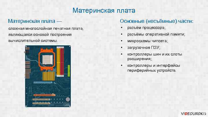 Материнская плата — Основные (несъёмные) части: сложная многослойная печатная плата, • разъём процессора; являющаяся