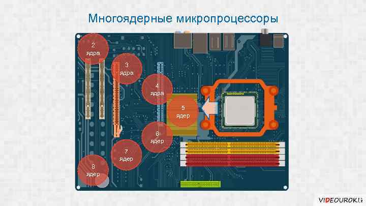 Многоядерные микропроцессоры 2 ядра 3 ядра 4 ядра 5 ядер 6 ядер 7 ядер