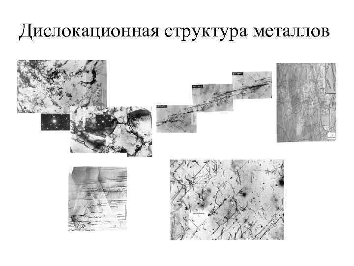Дислокационная структура металлов 