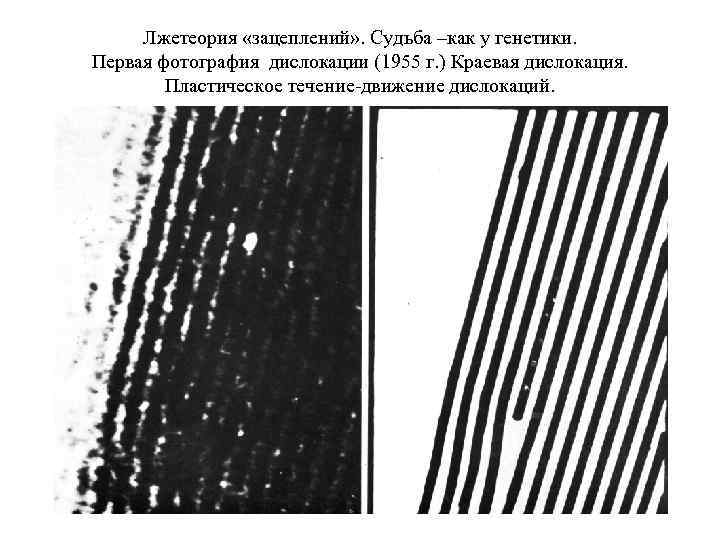 Лжетеория «зацеплений» . Судьба –как у генетики. Первая фотография дислокации (1955 г. ) Краевая