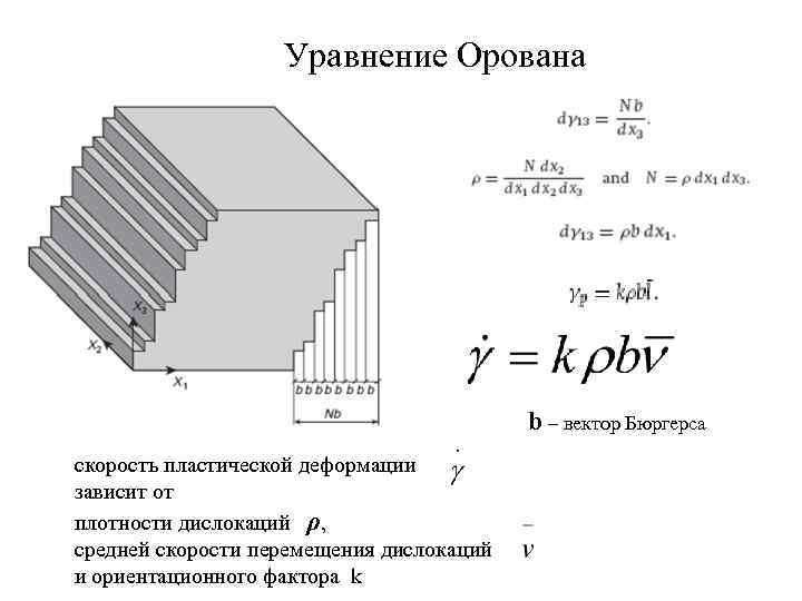 Уравнение Орована b – вектор Бюргерса скорость пластической деформации зависит от плотности дислокаций ρ,