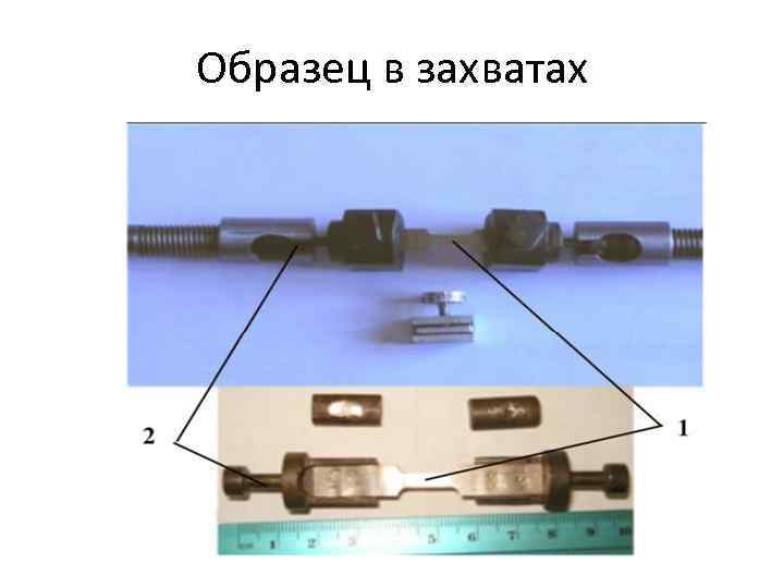 Образец в захватах 