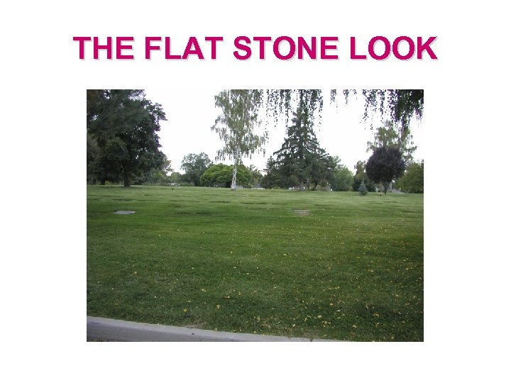 THE FLAT STONE LOOK 